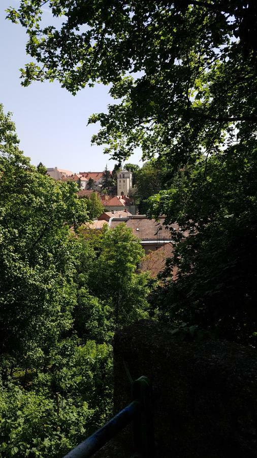 Downtown Beauty Apartment Zagreb Bagian luar foto