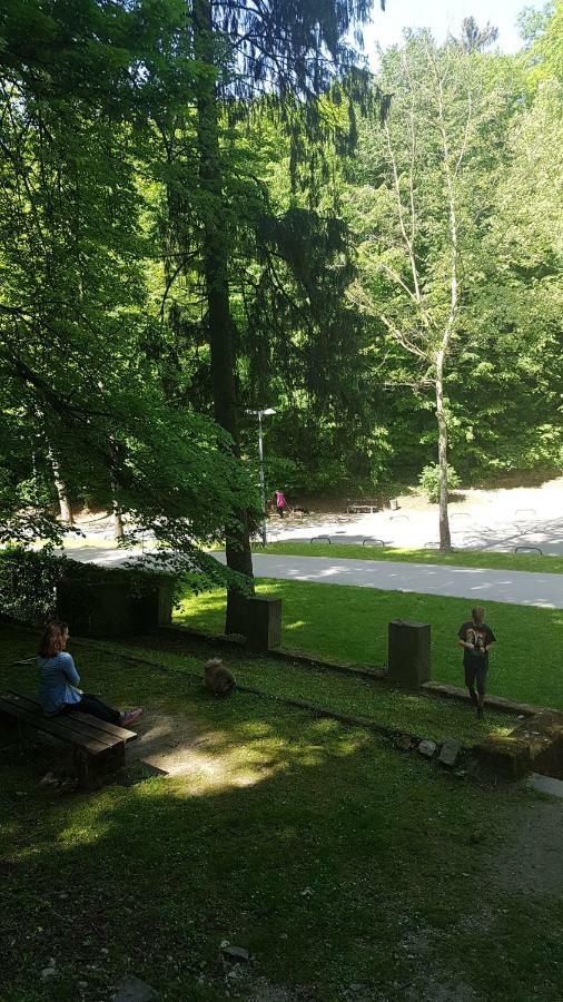 Downtown Beauty Apartment Zagreb Bagian luar foto